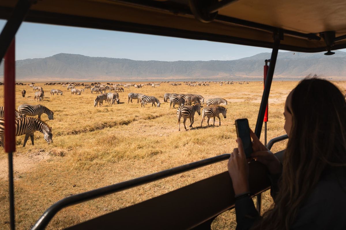 Voyageuse photographiant un troupeau de zèbres depuis le toit ouvert d’un 4x4 en Tanzanie
