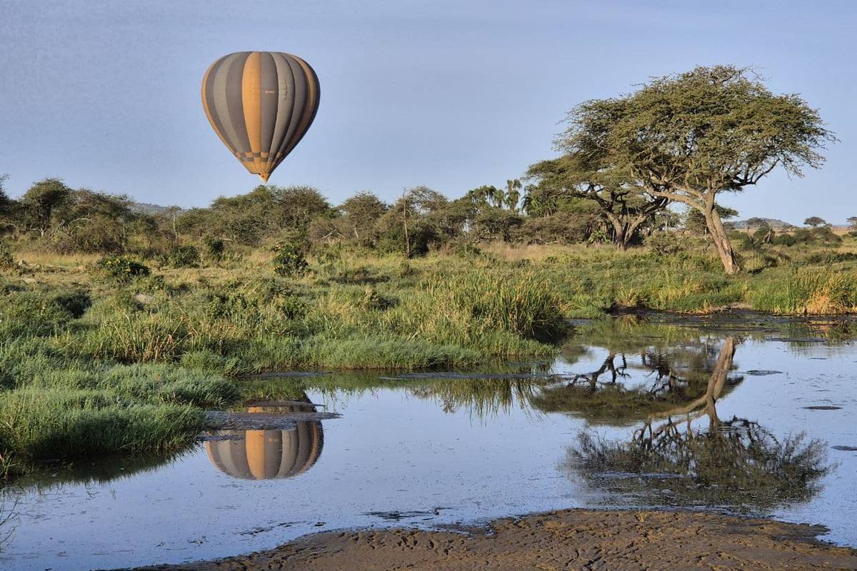 Zone humide et végétation basse au fond de la vallée du Grand Rift, en Tanzanie