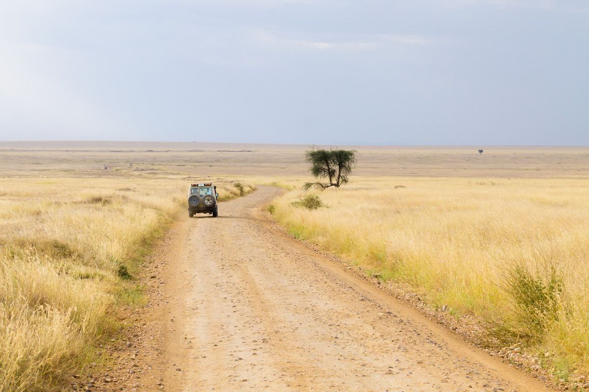 4x4 de safari seul sur une piste de terre traversant la savane tanzanienne