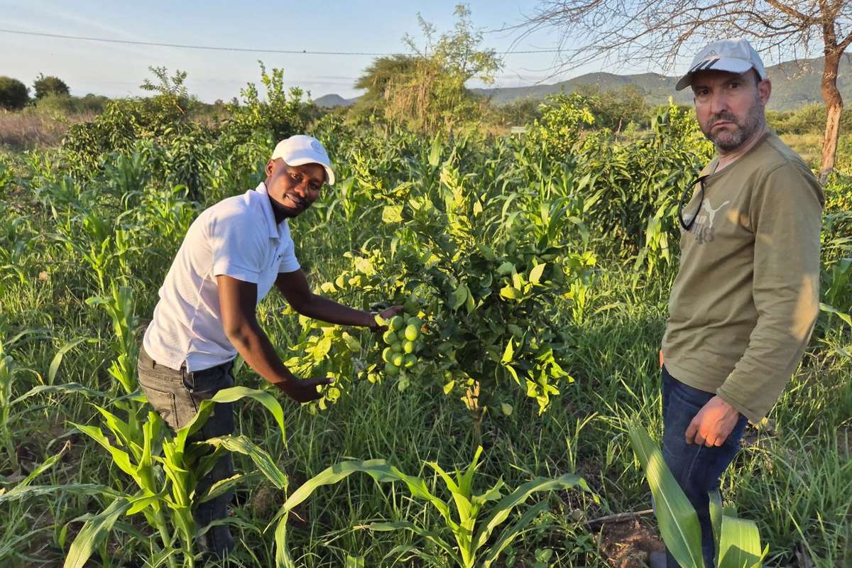 Deux hommes dans un champ cultivé, lors d’une rencontre avec des habitants en Tanzanie