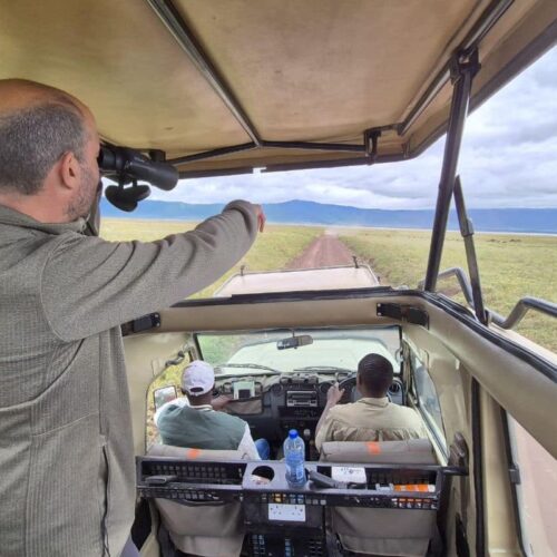 Vue depuis l’intérieur d’un 4x4 de safari, le guide au volant sur une piste de Tanzanie