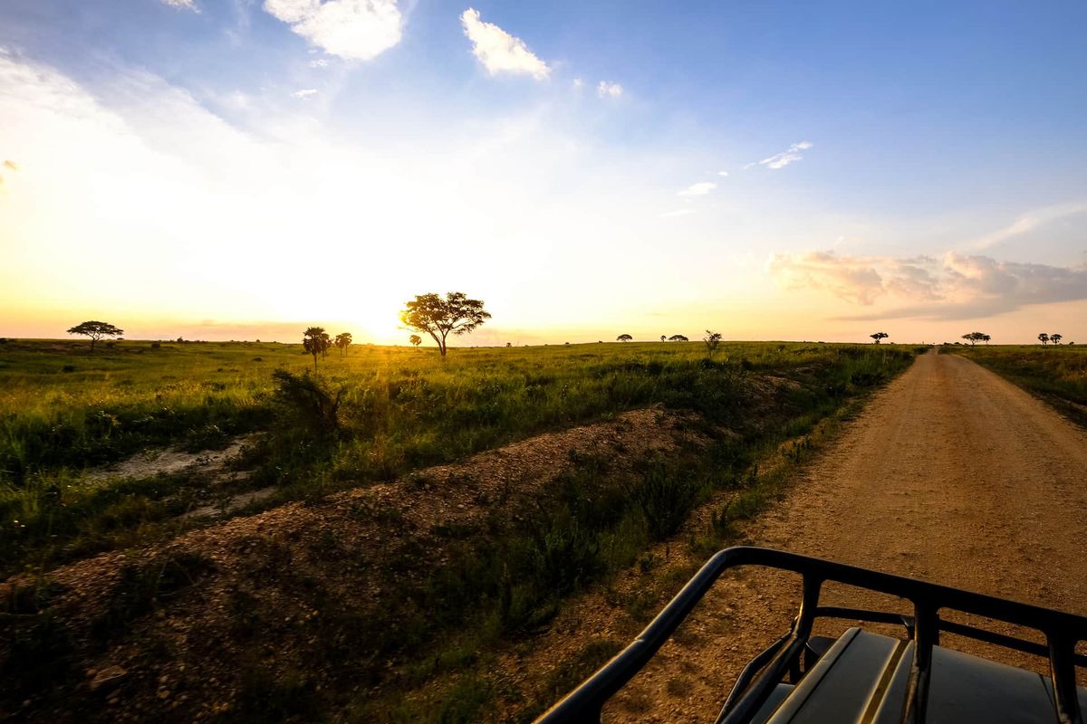 Piste de savane au coucher du soleil, vue depuis le toit ouvert d’un 4x4 en Tanzanie